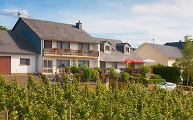 Pension und Weingut Moselblick